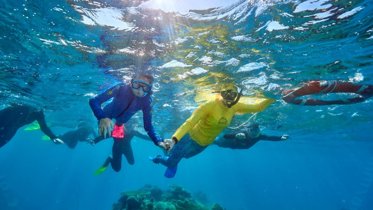 Green Island Great Barrier Reef Half Day Tour from Cairns - image 6
