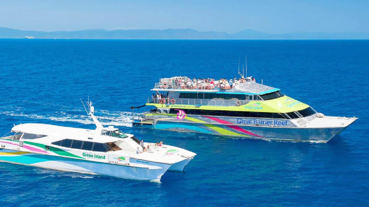 Green Island Great Barrier Reef Half Day Tour from Cairns - image 7