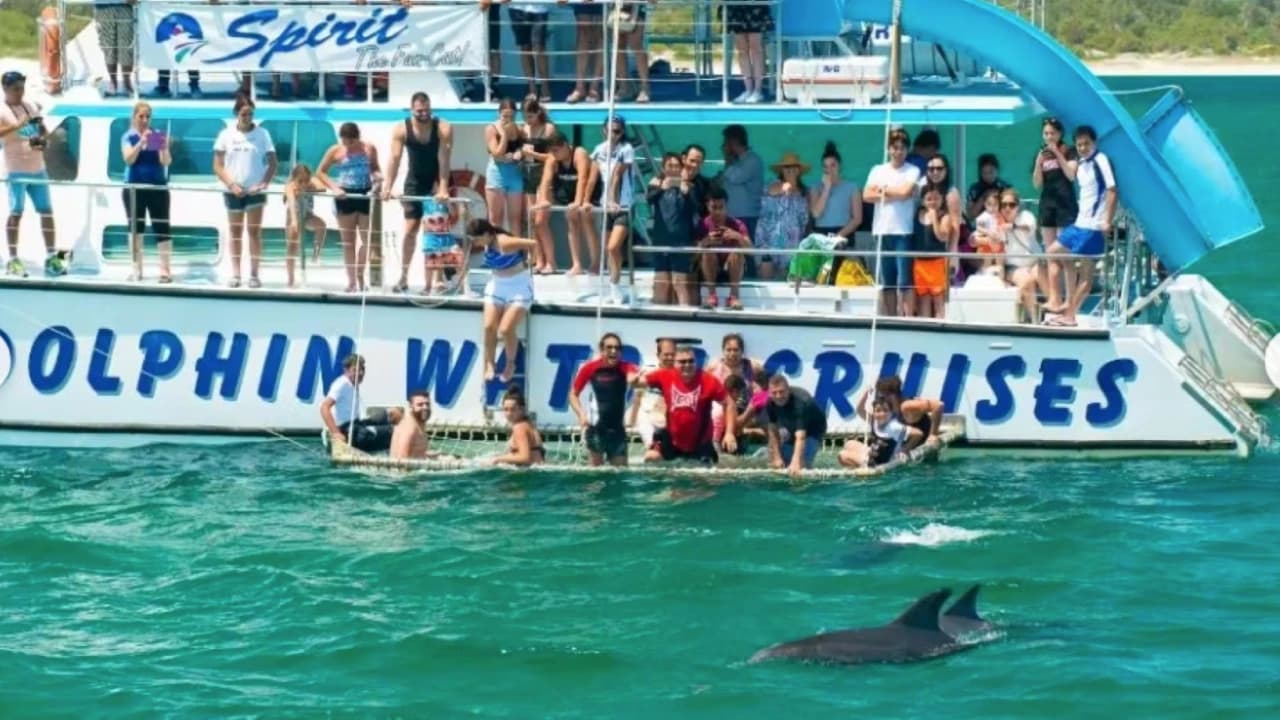 Port Stephens Dolphin Discovery Cruise