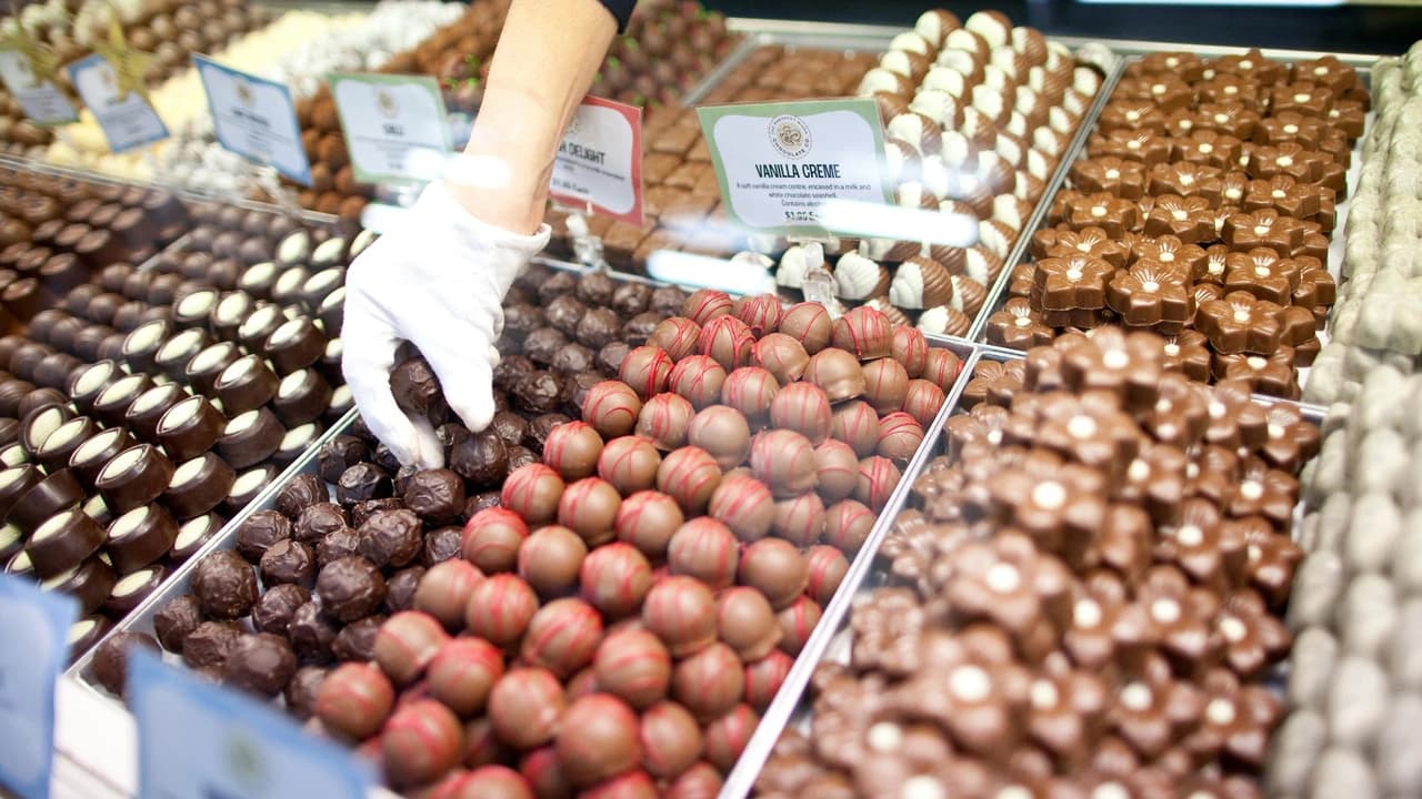 Swan Valley Full-Day Tour with Indulgence Cruise and Wine and Chocolate Tasting - Photo 3