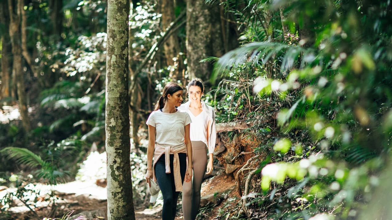 Tamborine Mountain Guided Walk and Wine Tasting Tour