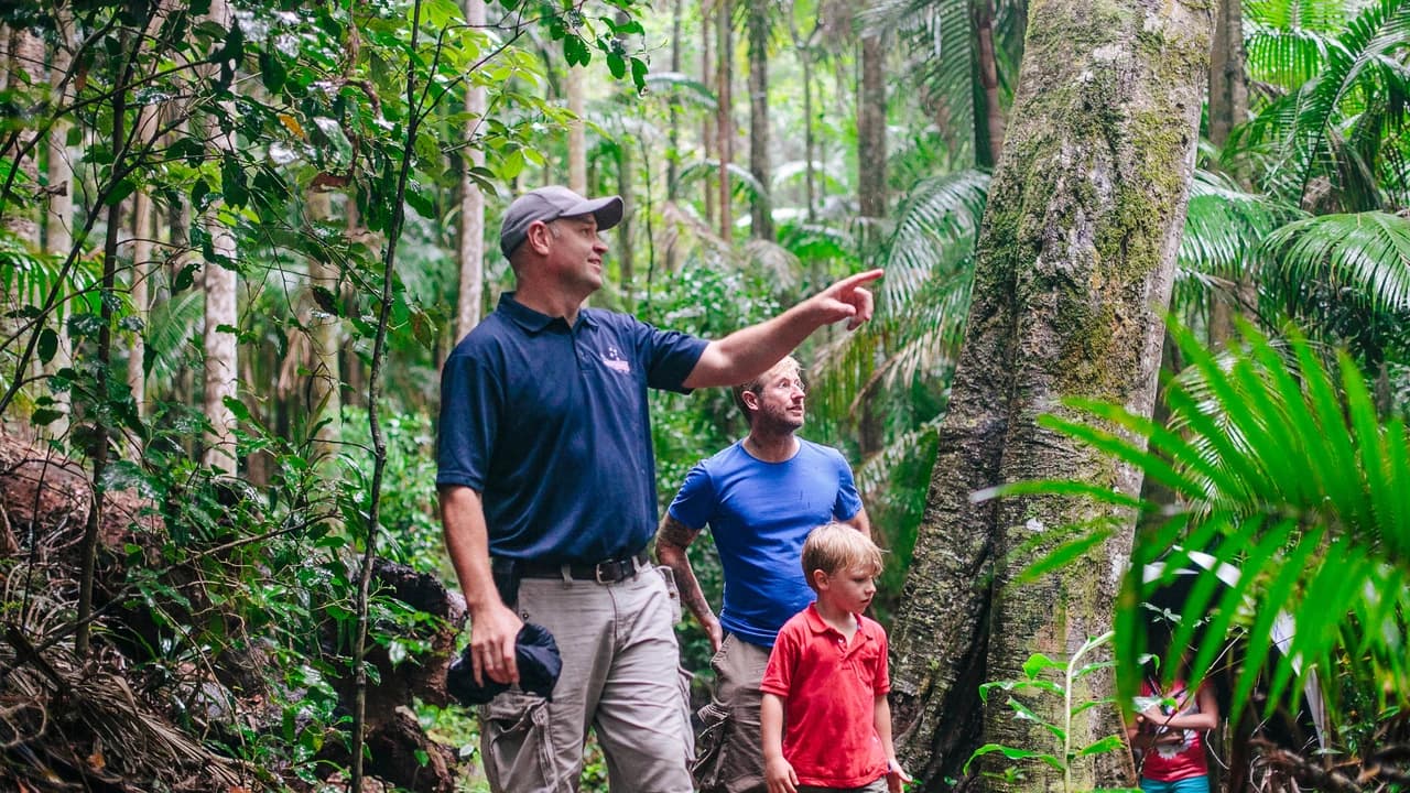 Tamborine Mountain Guided Walk and Wine Tasting Tour - Photo 2