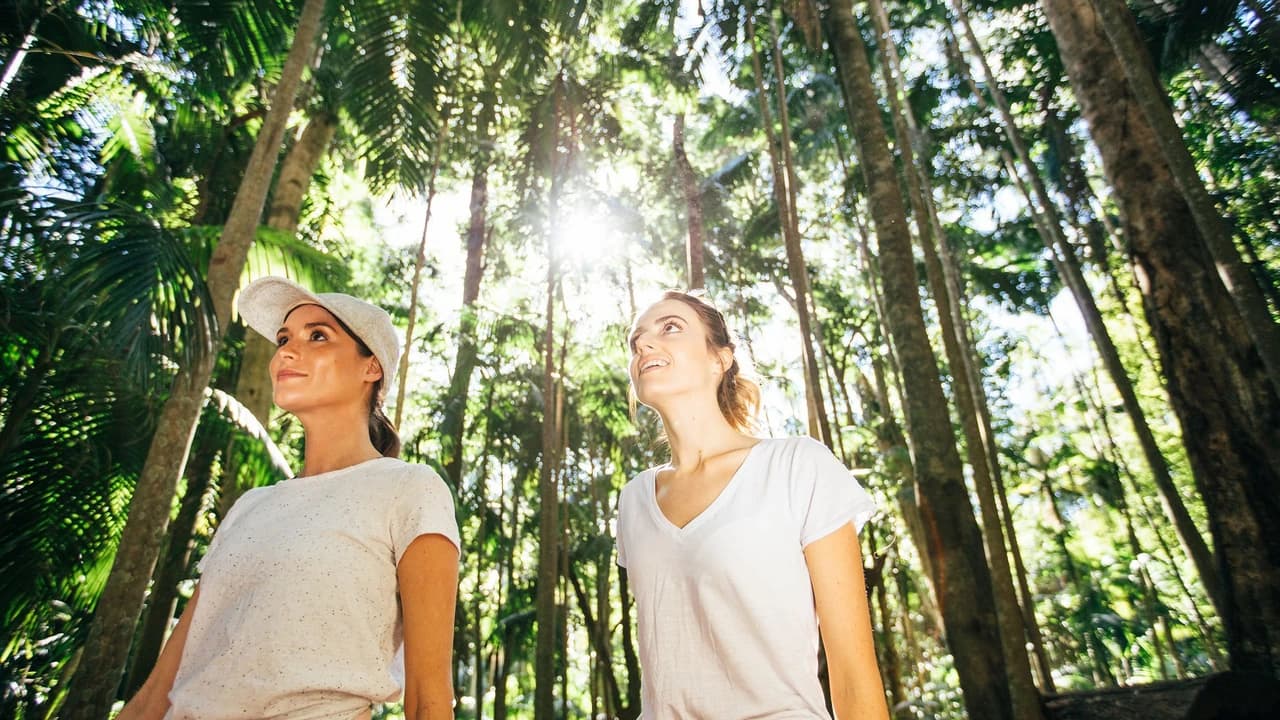 Tamborine Mountain Guided Walk and Wine Tasting Tour - Photo 3