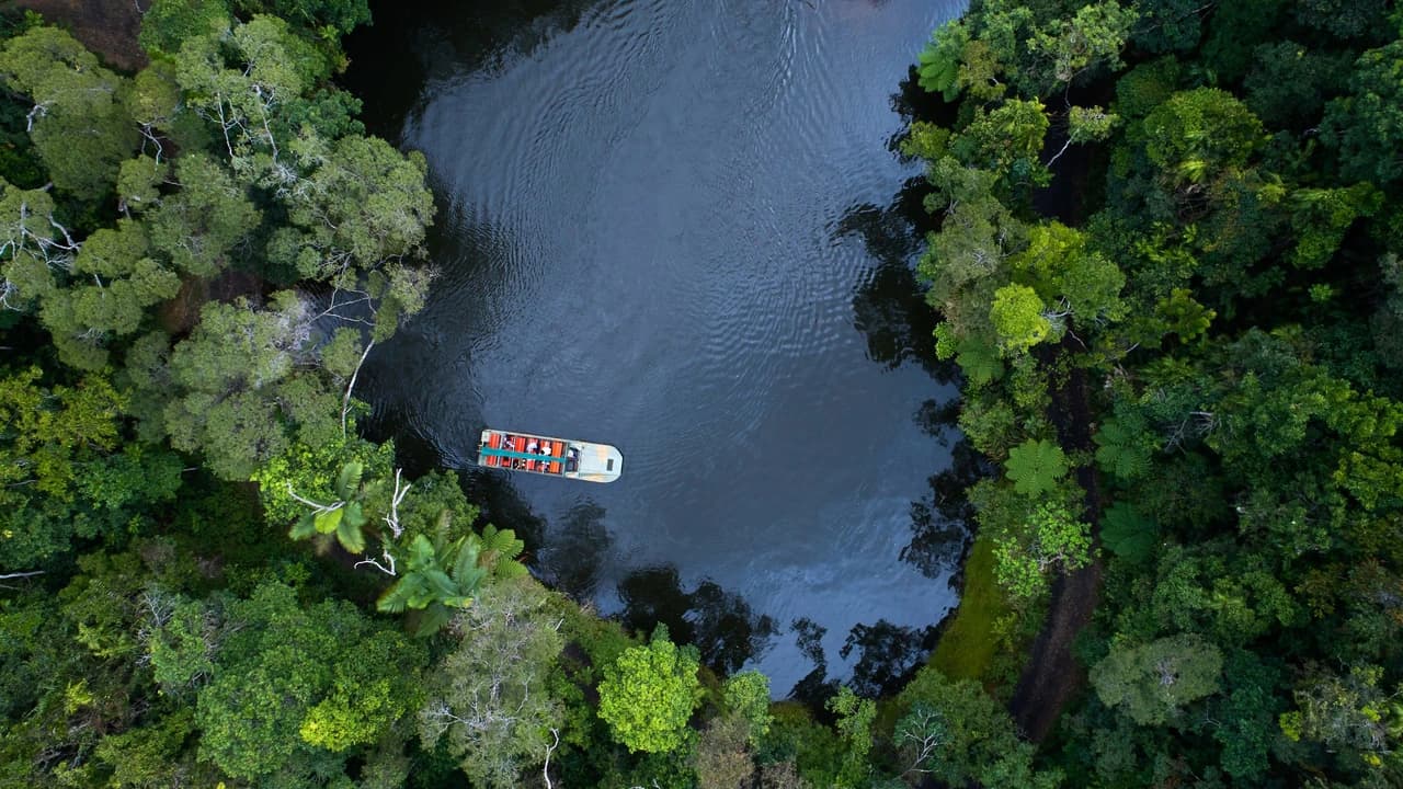 Full-Day Kuranda Tour with Skyrail Cableway, Scenic Railway and Rainforestation - image 6