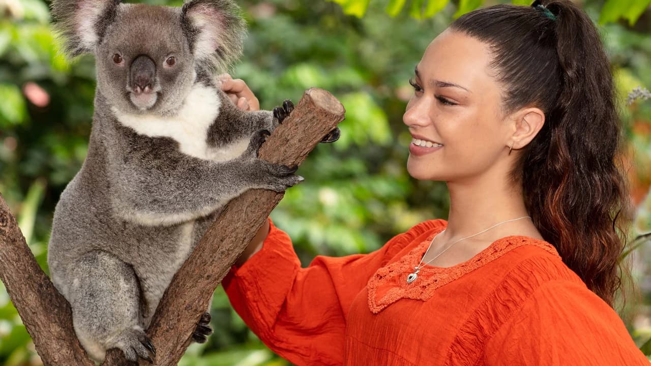 Kuranda Koala Gardens - image 6