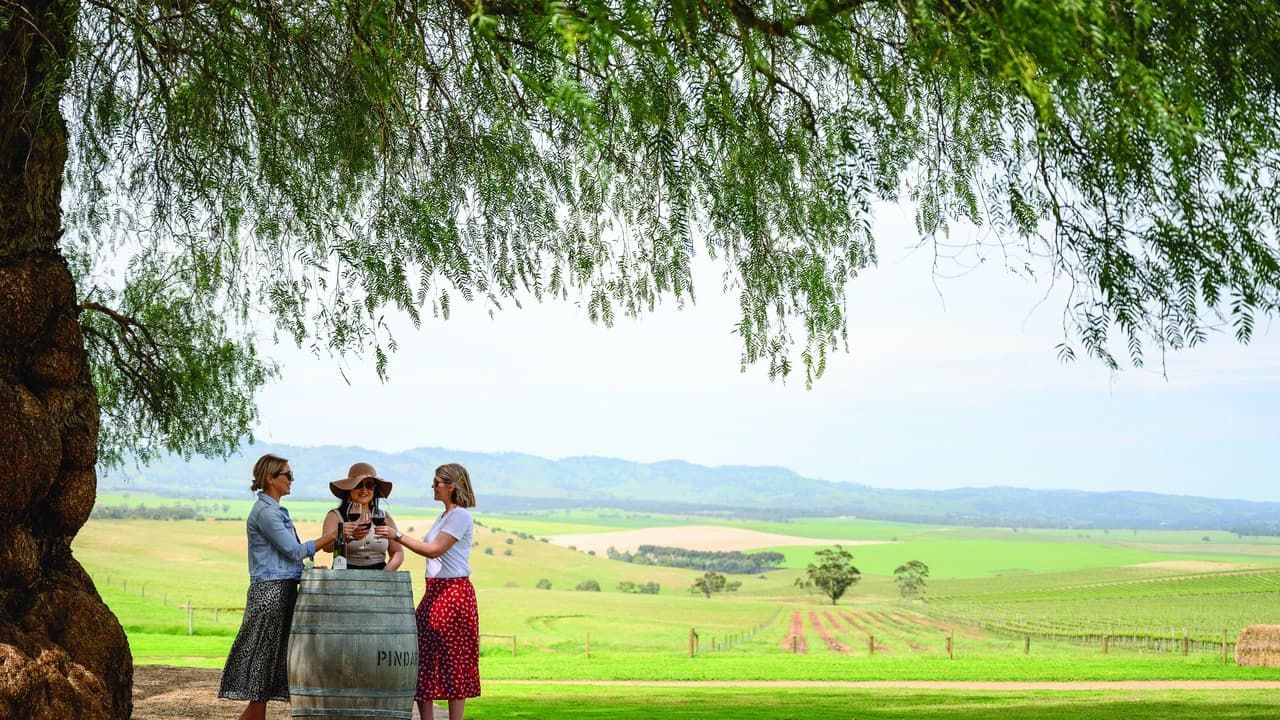 Barossa Valley Wineries and Hahndorf Tour