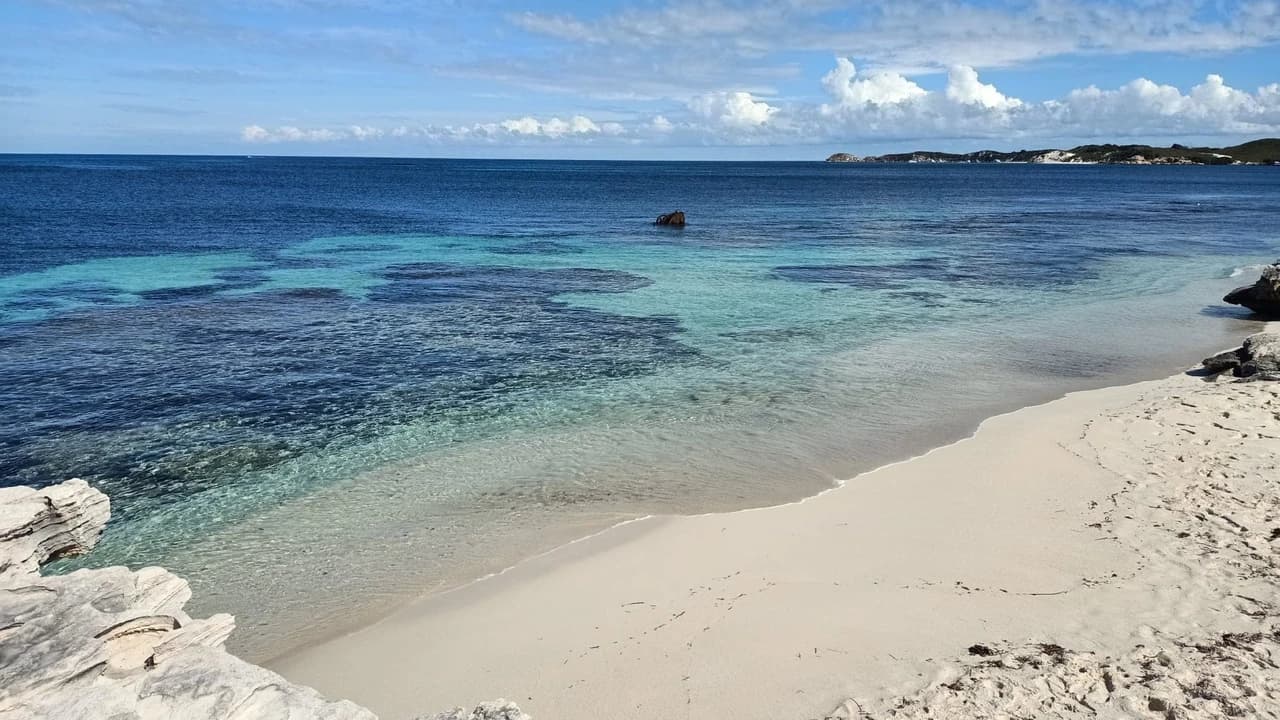 Rottnest Island Settlement Explorer Segway Tour with Round Trip SeaLink Ferry Transfer - image 6
