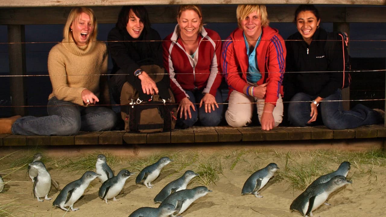 Melbourne City Discovery Tour with Penguin Parade - Photo 2