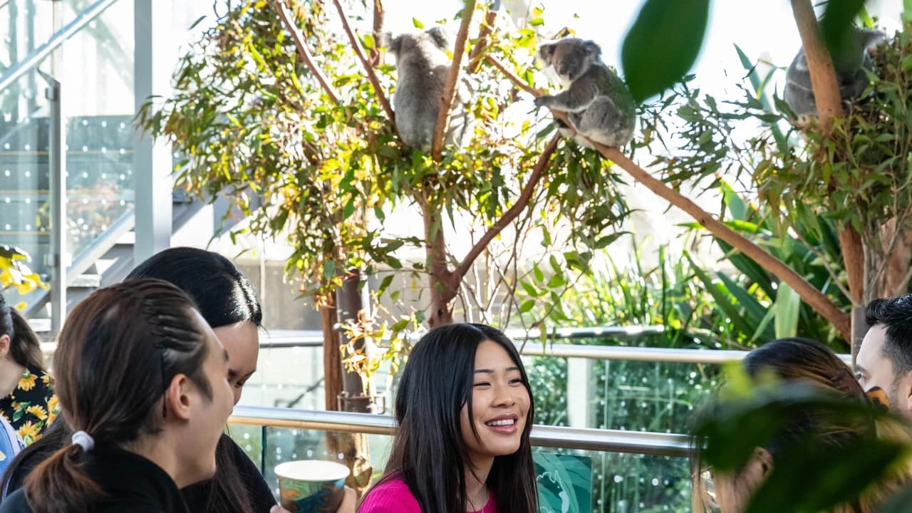 Breakfast with the Koalas at WILD LIFE SYDNEY - Photo 4