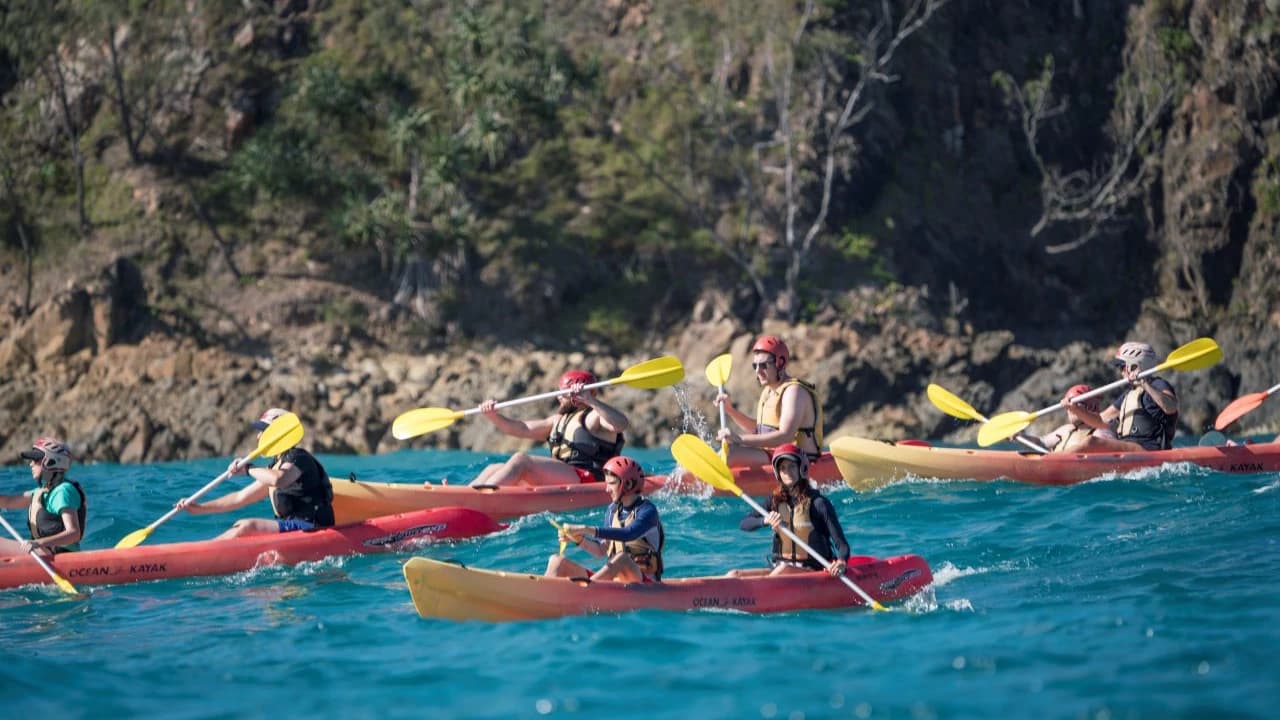 Byron Bay Kayaking Experience with Dolphins - Photo 3
