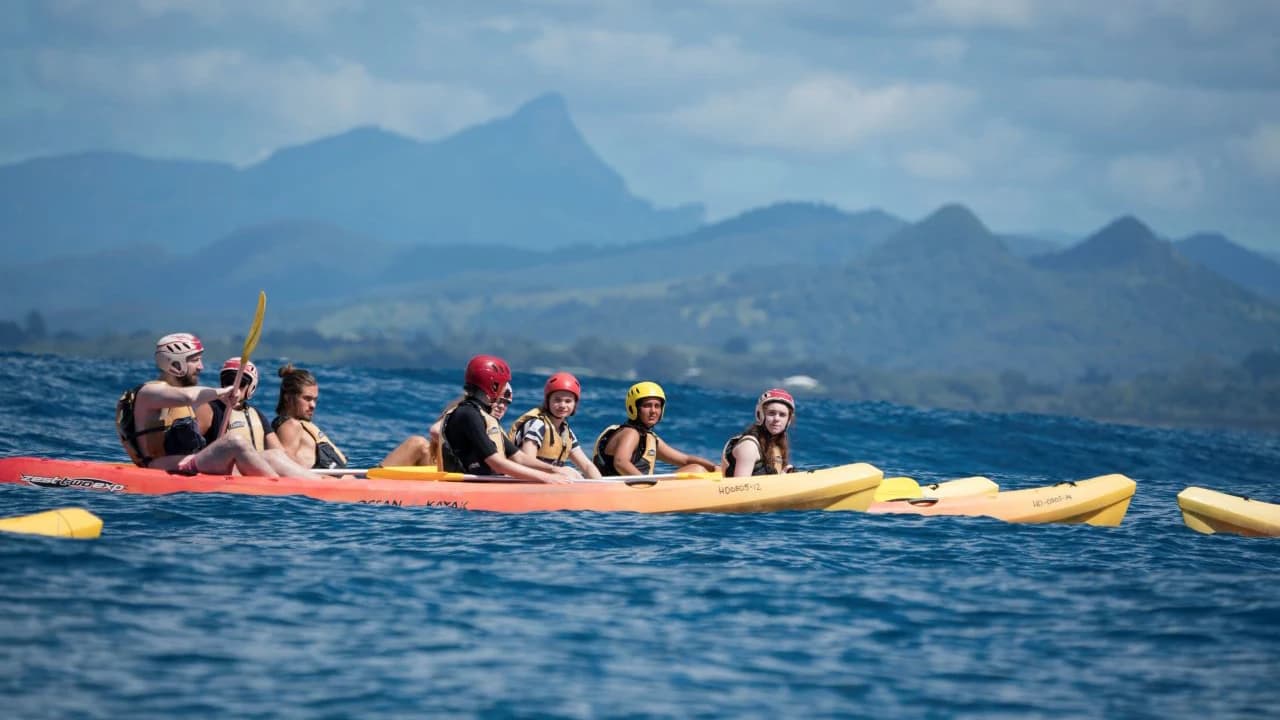 Byron Bay Kayaking Experience with Dolphins - image 8