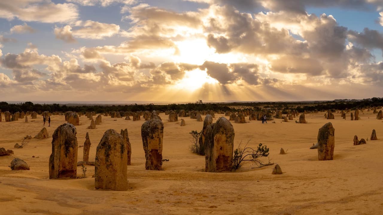 Pinnacles Desert Sunset and Stargazing Tour from Perth - Photo 4