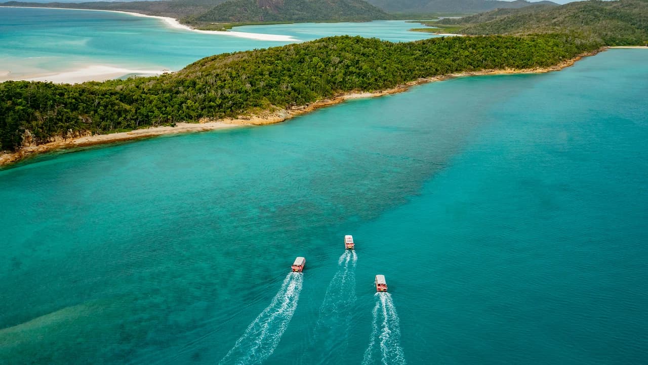 Thundercat Catamaran Whitsundays Islands Tour - Photo 5