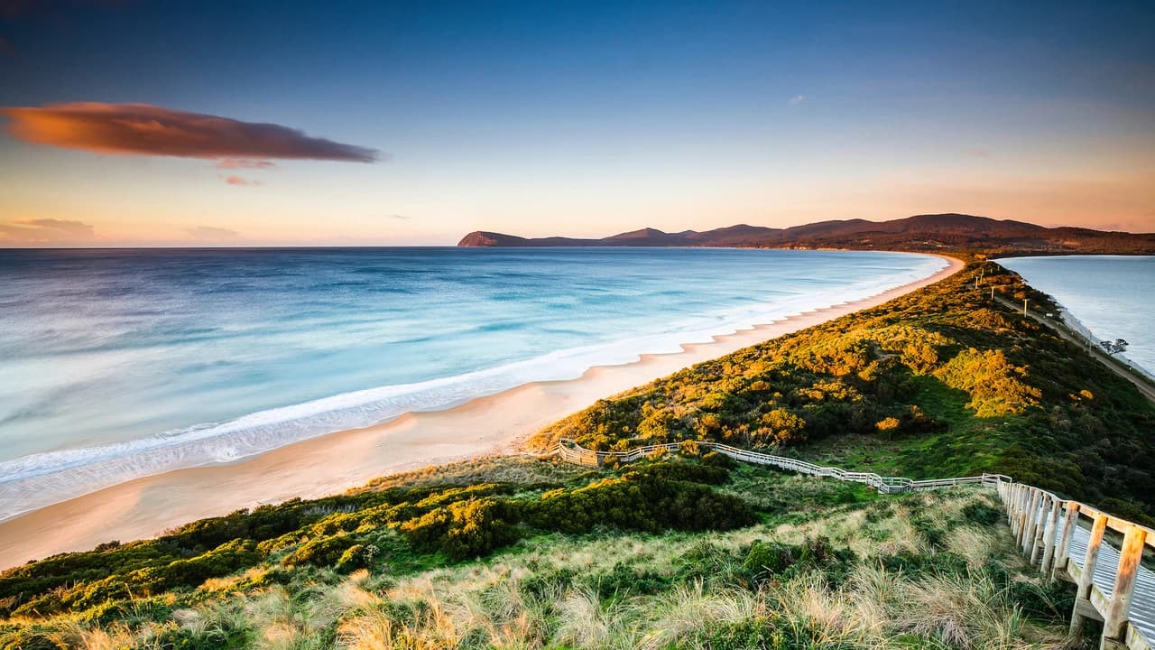 Bruny Island Full-Day Tour from Hobart