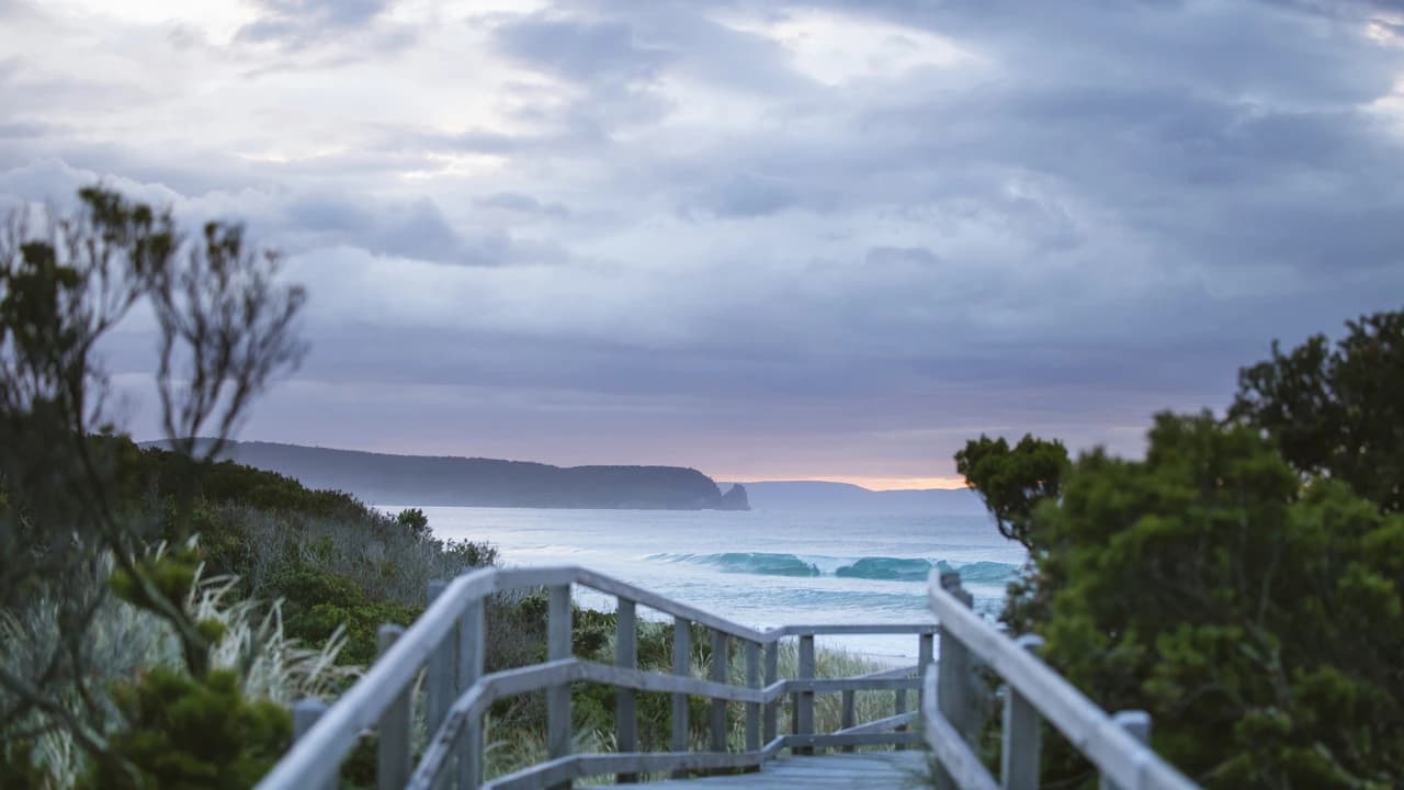 Bruny Island Full-Day Tour from Hobart - Photo 4