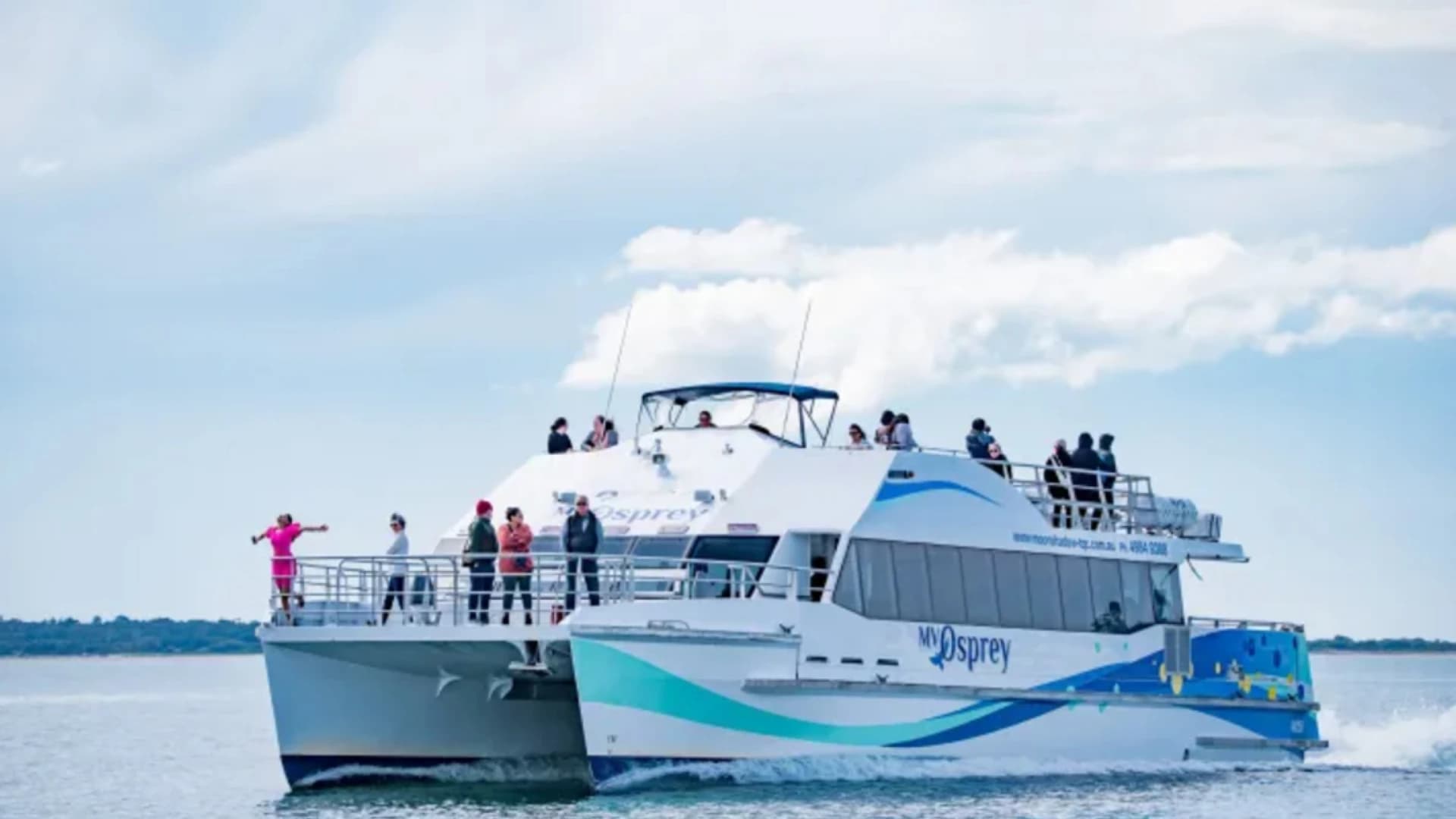 Port Stephens Dolphin Watch and Eco Adventure Cruise - image 6