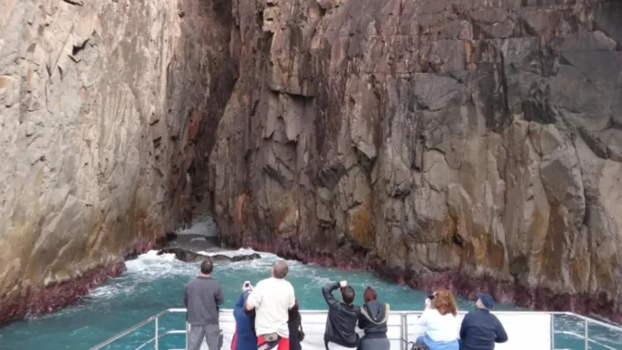 Port Stephens Dolphin Watch and Eco Adventure Cruise - Photo 3