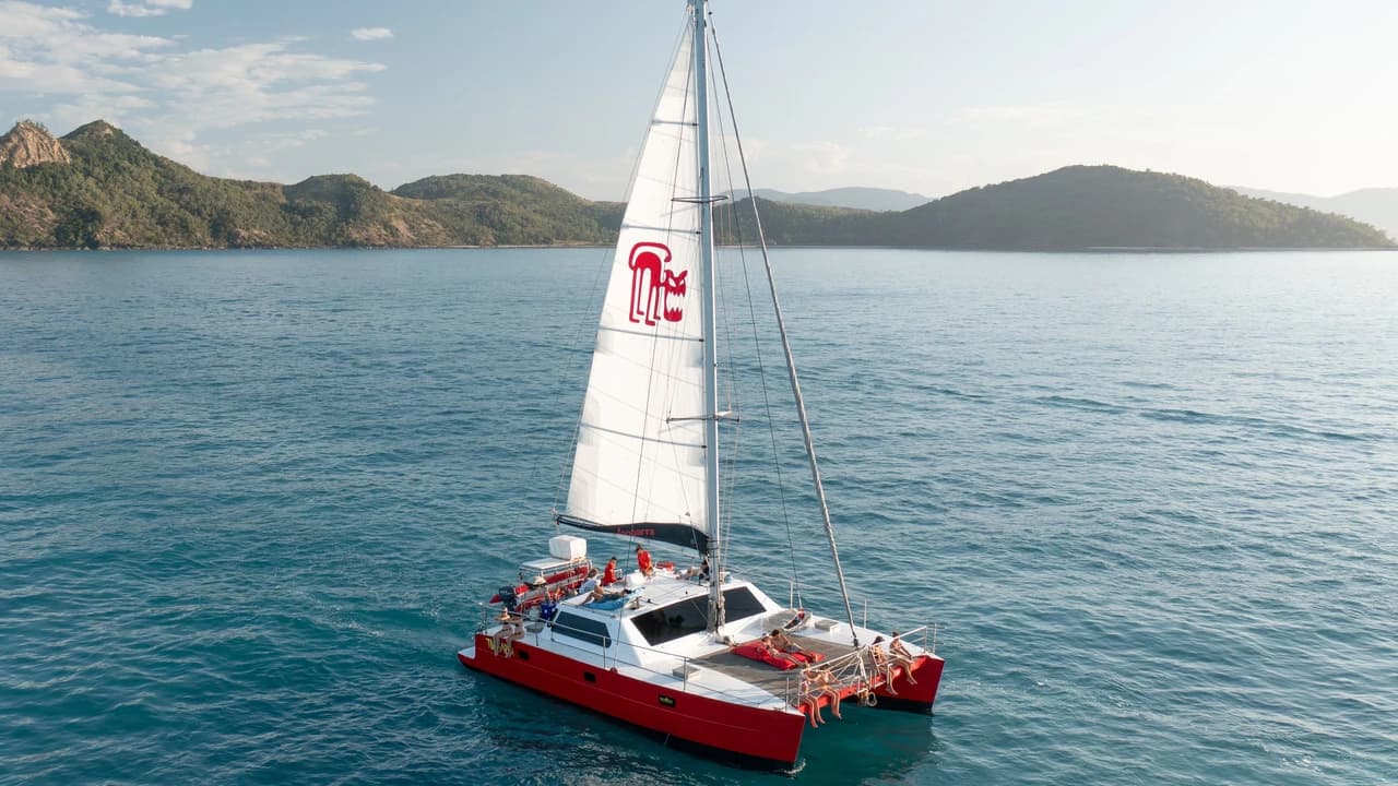 Tongarra Day Sailing Tour