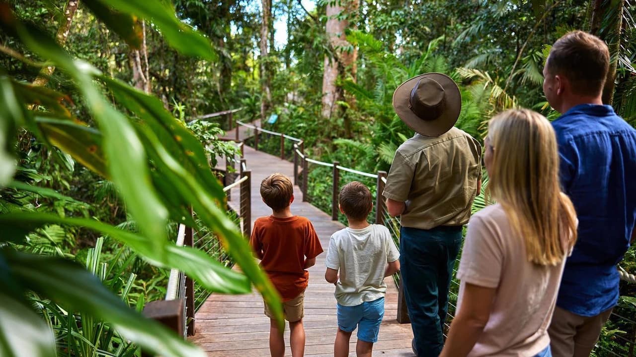 Skyrail Rainforest Cableway with Optional Kuranda Scenic Train Ticket and Hotel Pick-Up - image 8