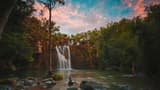 Cedar Creek Falls Tour - image 7