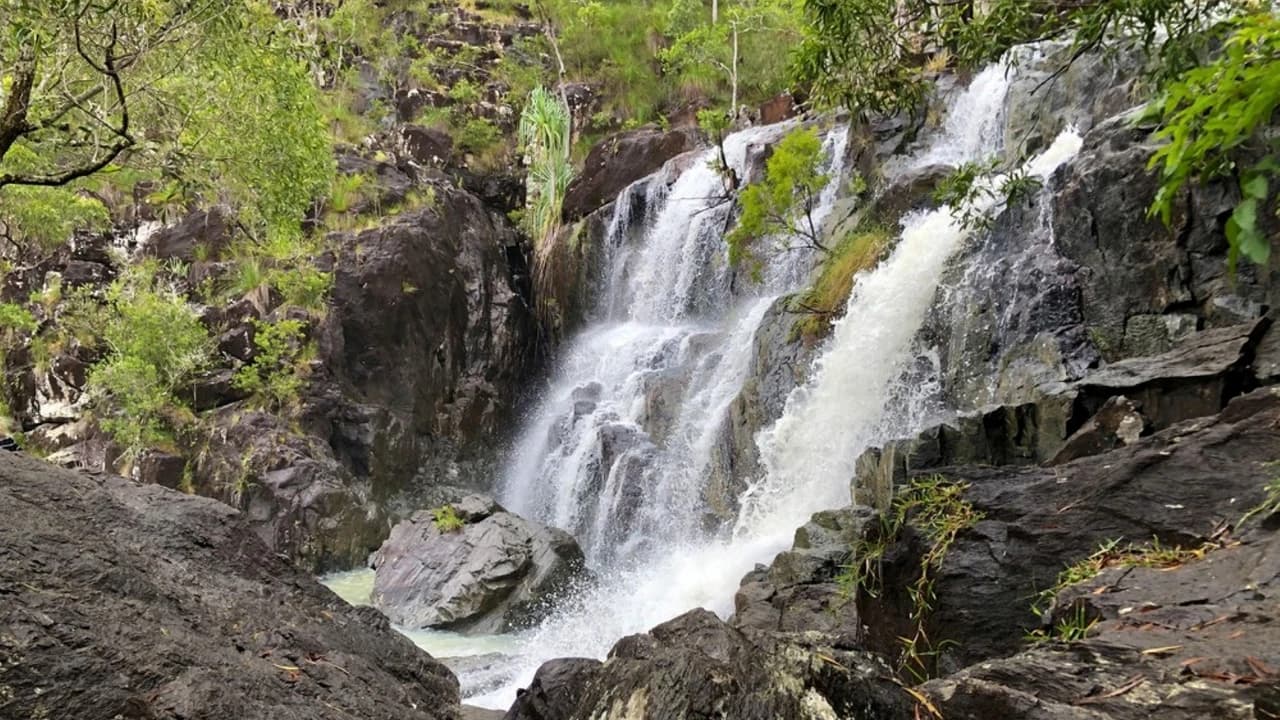 Cedar Creek Falls Tour - Photo 4