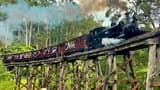 Puffing Billy Steam Train Half-Day Tour - image 7