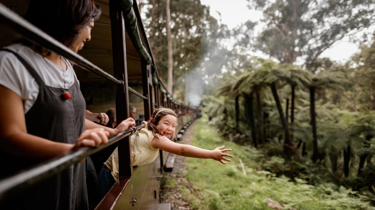 Puffing Billy Steam Train Half-Day Tour - Photo 4