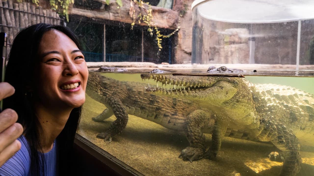 COMBO: WILD LIFE Sydney Zoo Ticket + Captain Cook Hop-on Hop-off Cruise - Photo 5