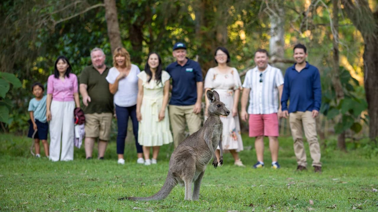 Gold Coast Full-Day Tour From Brisbane - Photo 2