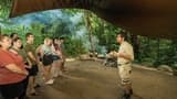 Daintree, Mossman Gorge, and Wildlife Habitat Port Douglas Full-Day Tour - image 8