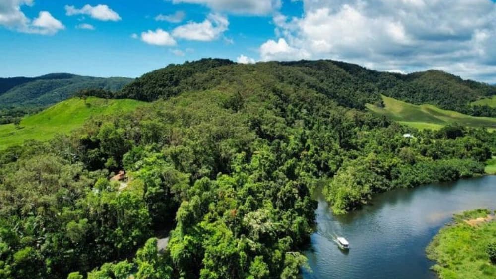 Crocodile Express Daintree Cruise from Daintree Gateway - Photo 3