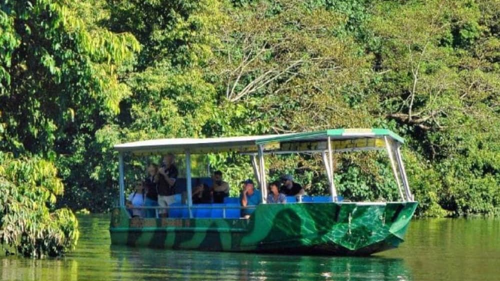Crocodile Express Daintree Cruise from Daintree Gateway - Photo 4