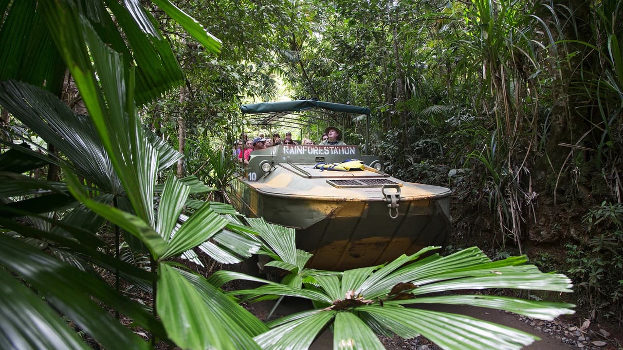 Full-Day Kuranda Tour with Skyrail Cableway, Scenic Railway, Rainforestation and Butterfly Sanctuary