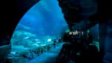 Aquarium de Paris - image 8
