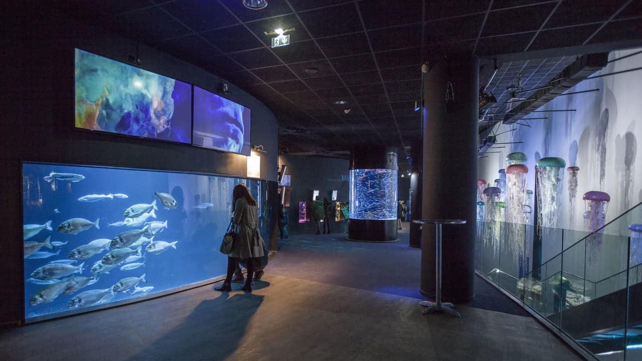 Aquarium de Paris - Photo 3
