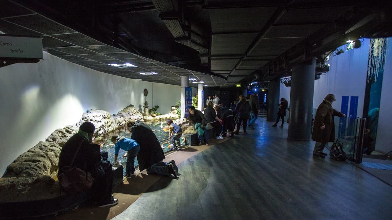 Aquarium de Paris - Photo 5