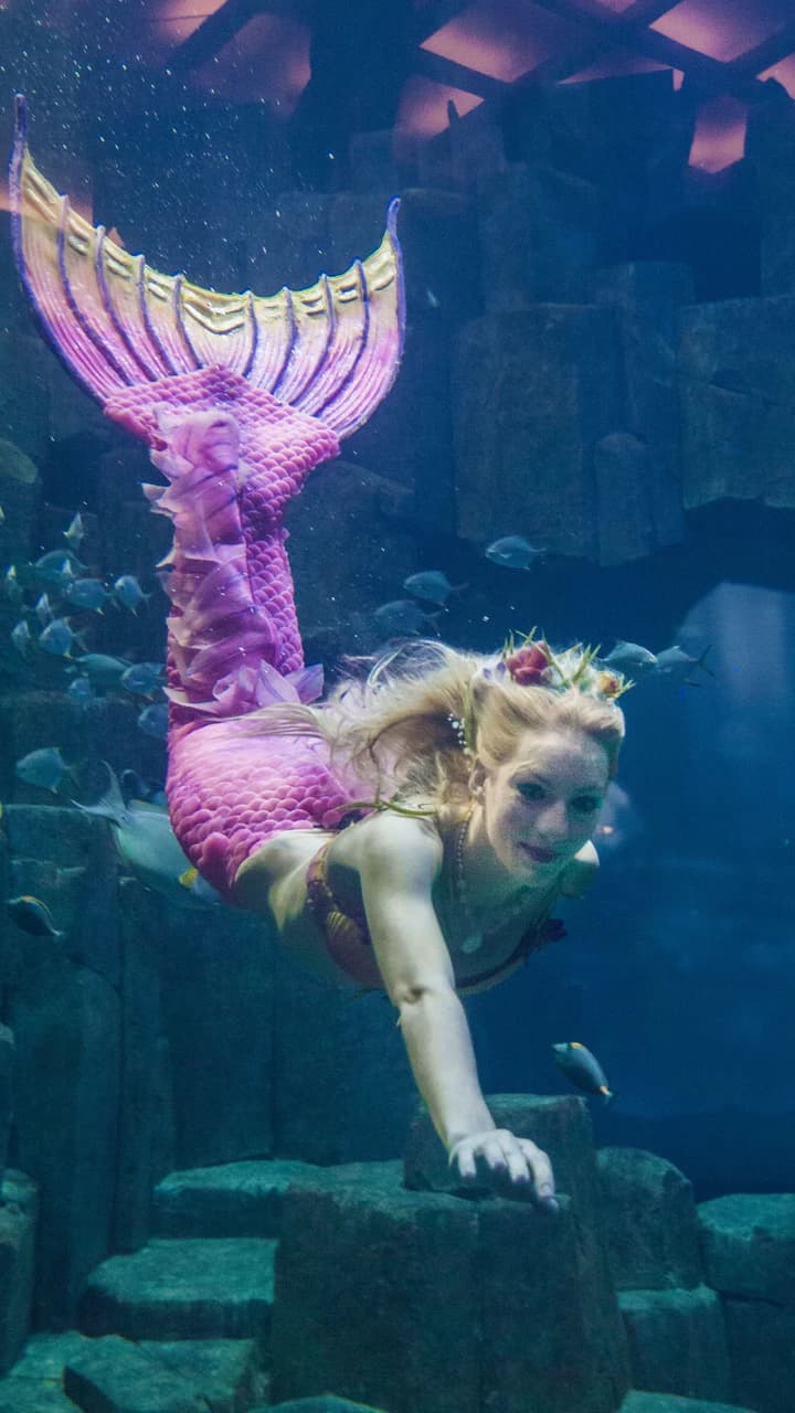 Aquarium de Paris - image 6