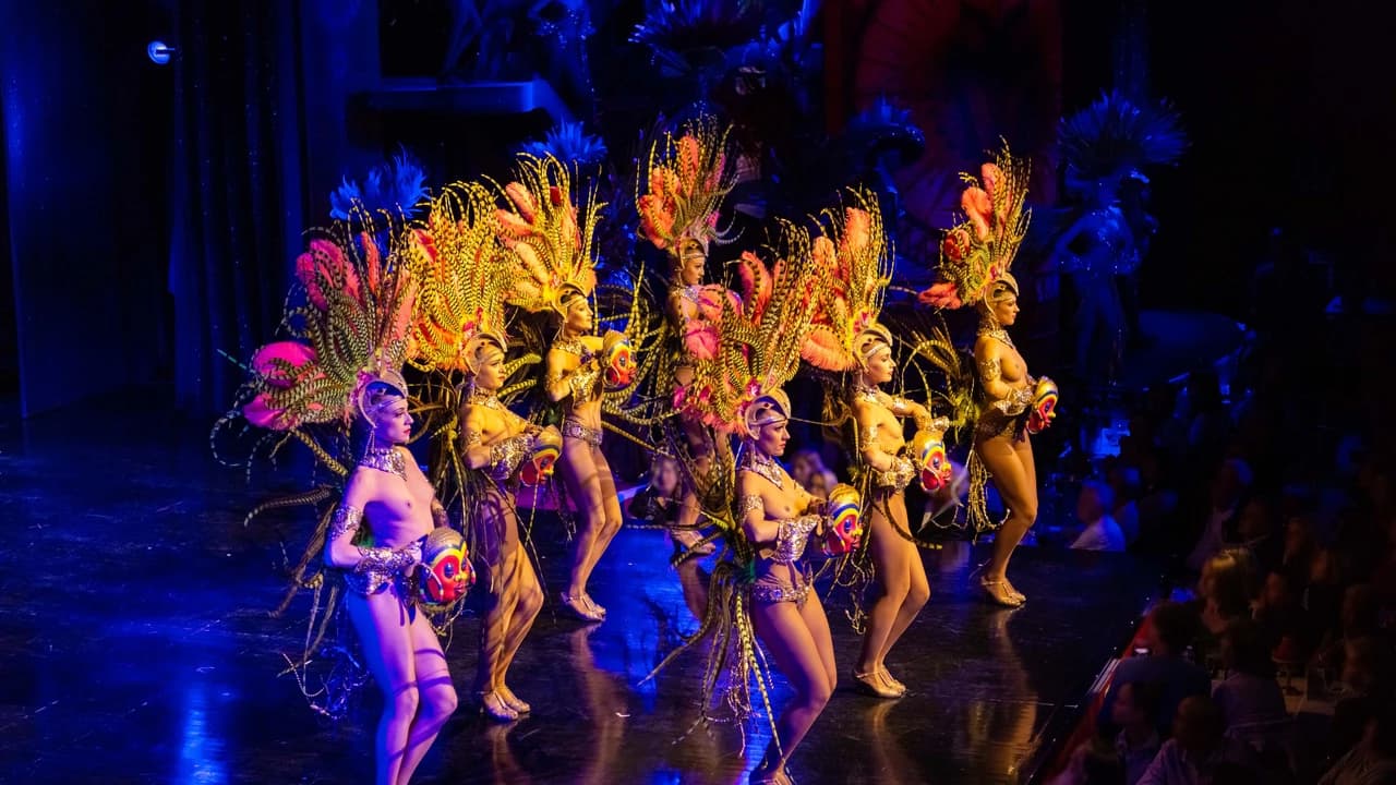Moulin Rouge Cabaret Show and Paris Bus Tour