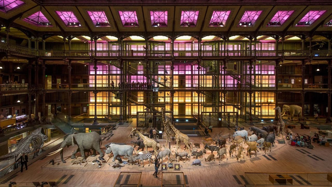Grande Galerie de l'Évolution: Skip The Line - Photo 2