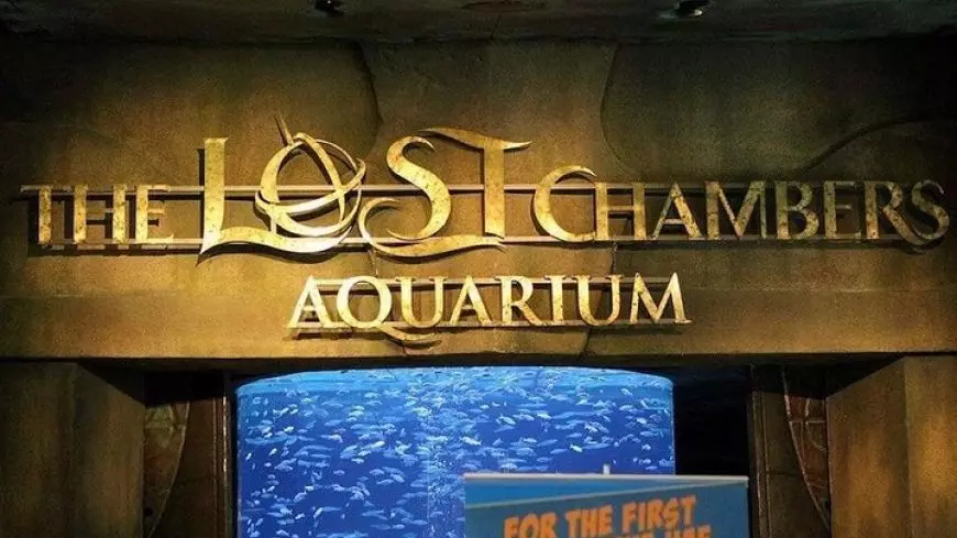 Lost World Aquarium
