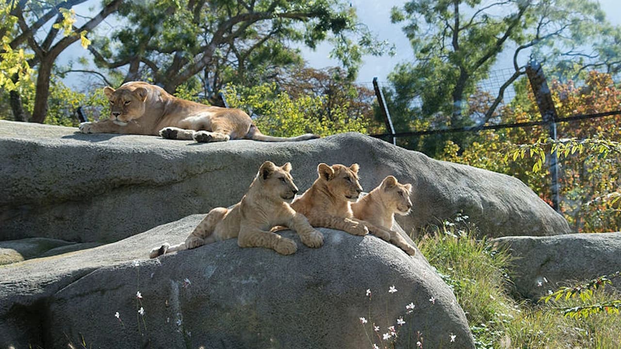 Paris Zoo (Parc Zoologique de Paris) - Photo 3