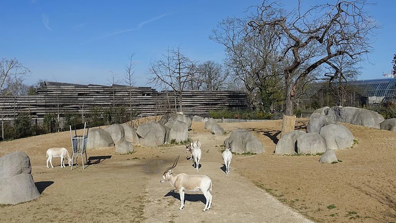 Paris Zoo (Parc Zoologique de Paris) - image 6