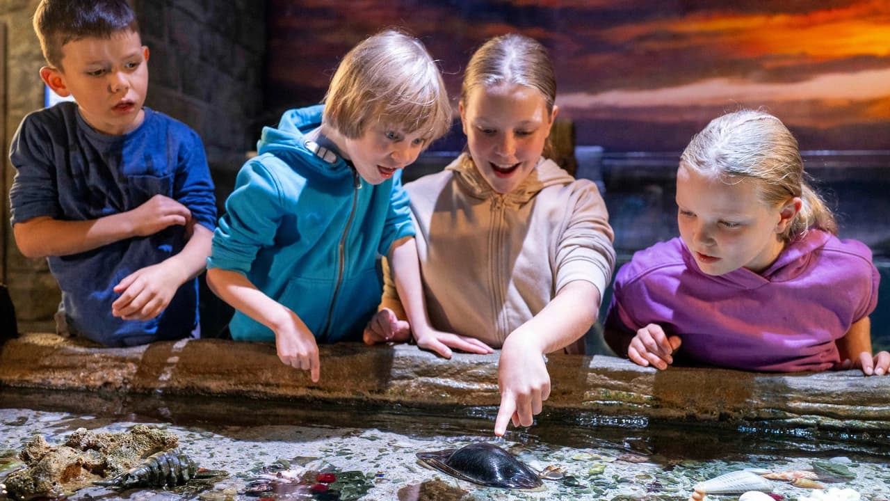 SEA LIFE Munich Aquarium Ticket