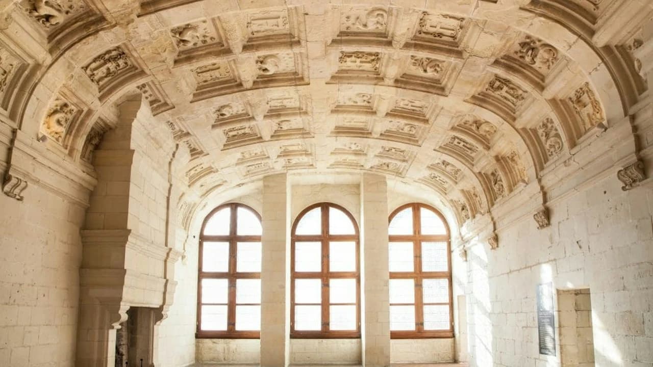 Château de Chambord Ticket - image 8