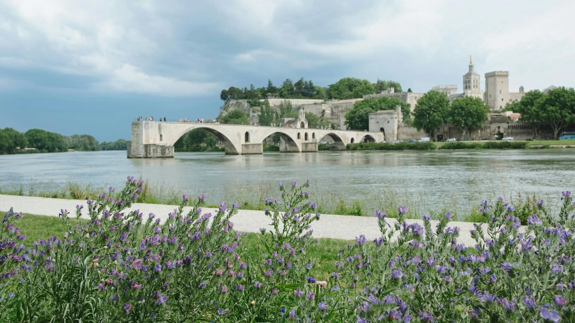 Palace of the Popes and Pont d’Avignon Ticket - image 7