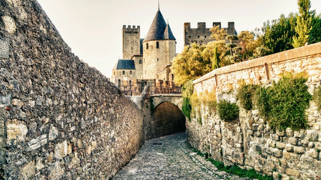 Cite de Carcassonne: Castle + Ramparts + Museum