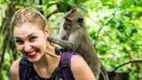 Tanah Lot & Ulun Danu Temples Full-Day Cultural Tour - image 8