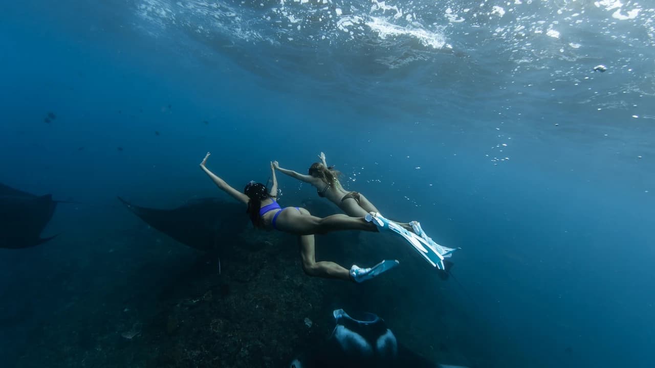 Nusa Penida Premium Day from Bali: Manta Rays, Yacht &  Land Tour