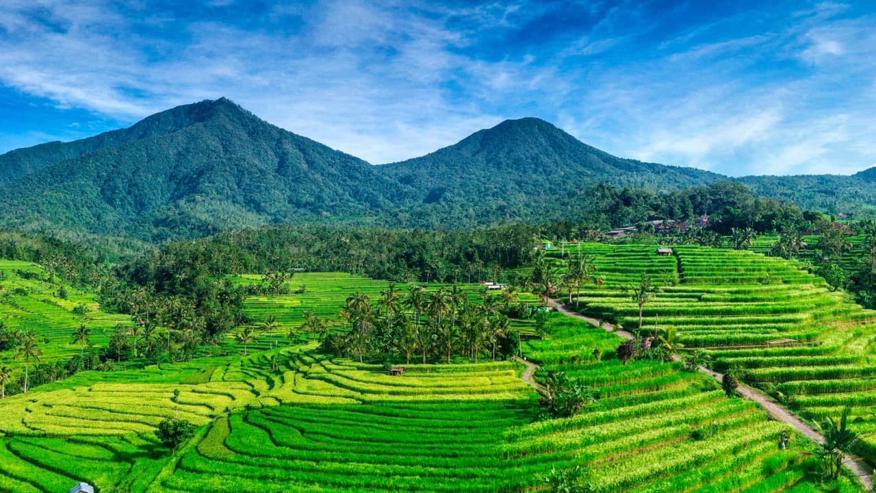 Jatiluwih Rice Terraces Electric Bike Tour in Bali
