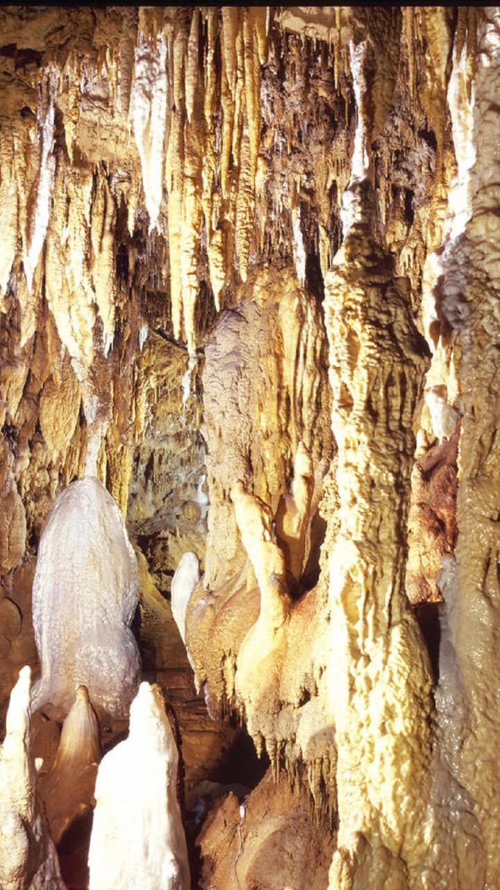 Okinawa World Pass - image 6